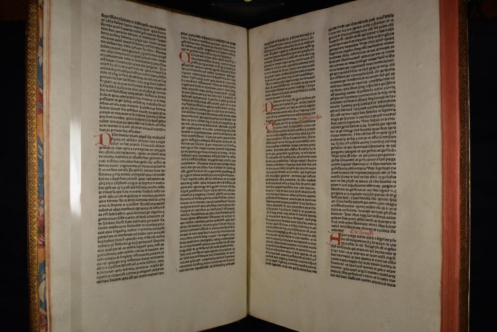 The book 'Bartholomaeus Anglicus, Incipit prohemium de proprietatibus rerum' mounted in a cradle so the pages are open. The pages bear two columns of printed black text, with occasional hand-painted red initials.