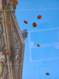 A view up to the skylight from the New library showing the old library with stone eagle and autumn leaves on the glass against a bright blue sky. 2nd Place in the Queen's Now category. Title: Autumn Reflections The Poetic View From The New Library by Shenghao Sun